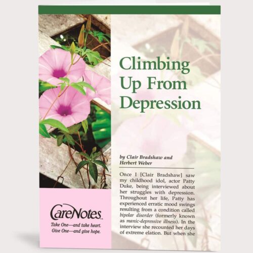 Care Notes Pamphlet: Climbing Up from Depression
