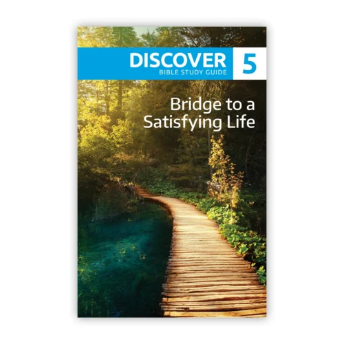 Bridge to a Satisfying Life