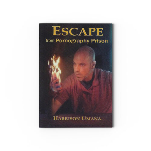 Escape from Pornography Prison
