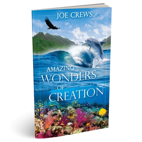 Offer #116 - Amazing Wonders of Creation