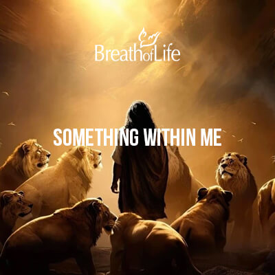 Something Within Me - DVD Copy of Program