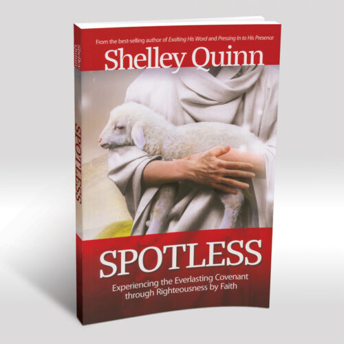 Spotless book by Shelley Quinn