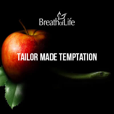 Tailor Made Temptation - CD Copy of Program