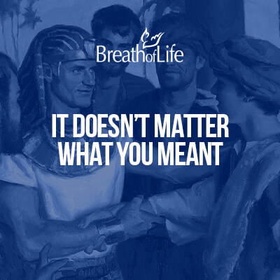 It Doesn't Matter What You Meant - CD Copy of Program