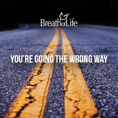 You're Going the Wrong Way - CD Copy of Program