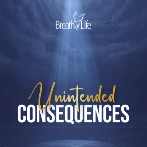 Unintended Consequences - DVD Copy of Program