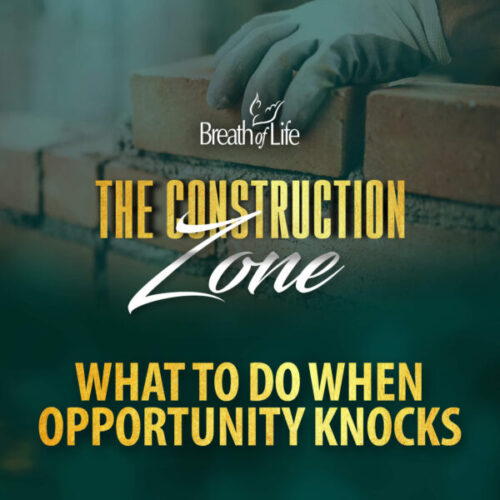 What to Do When Opportunity Knocks - CD Copy of Program