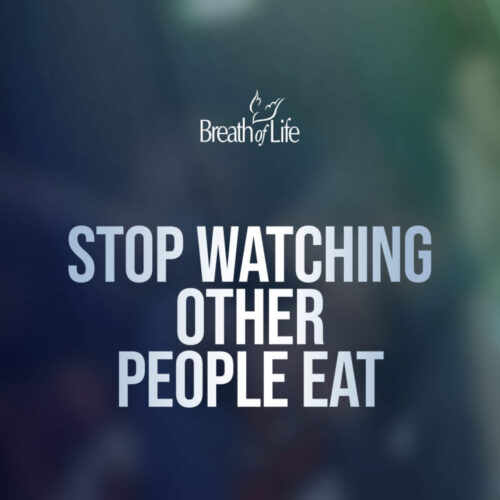Stop Watching Other People Eat  - DVD Copy of Program